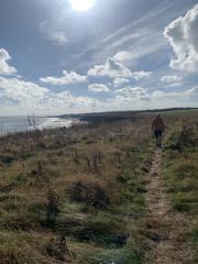 Back on the cliff tops, approaching Ryhope Dene